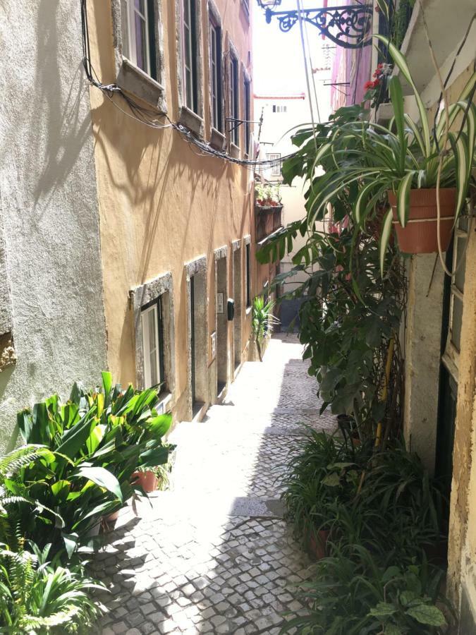 Casa Da Saudade, A Cozy Apartment In Alfama Lisboa 外观 照片
